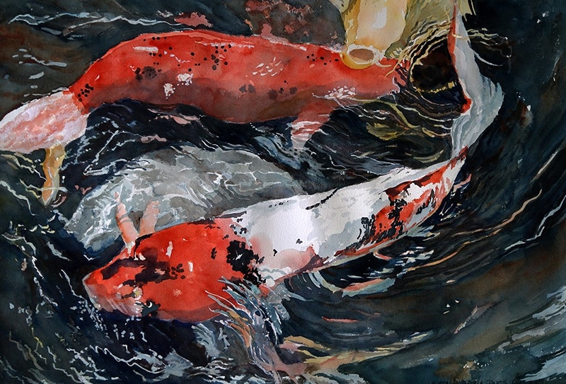 Koi, fish, pond, Center Point, PA